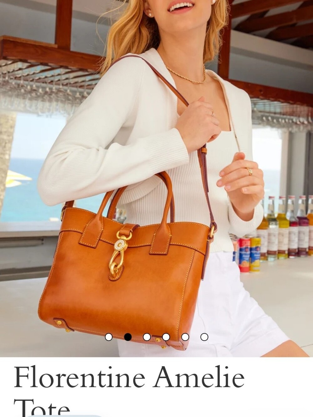 Dooney & Bourke Floretine Amelie Classic Brown Leather Top-Handle Satchel/Tote